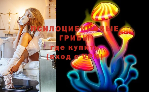 mdpv Вяземский