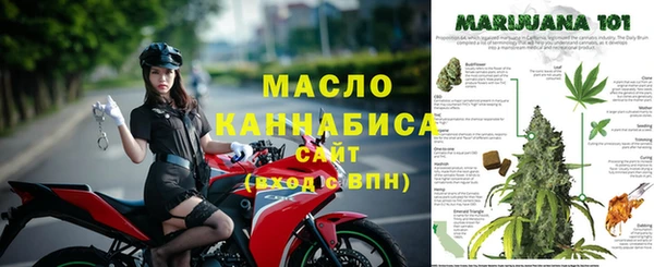 mdpv Вяземский