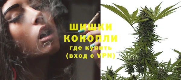 стаф Вязники